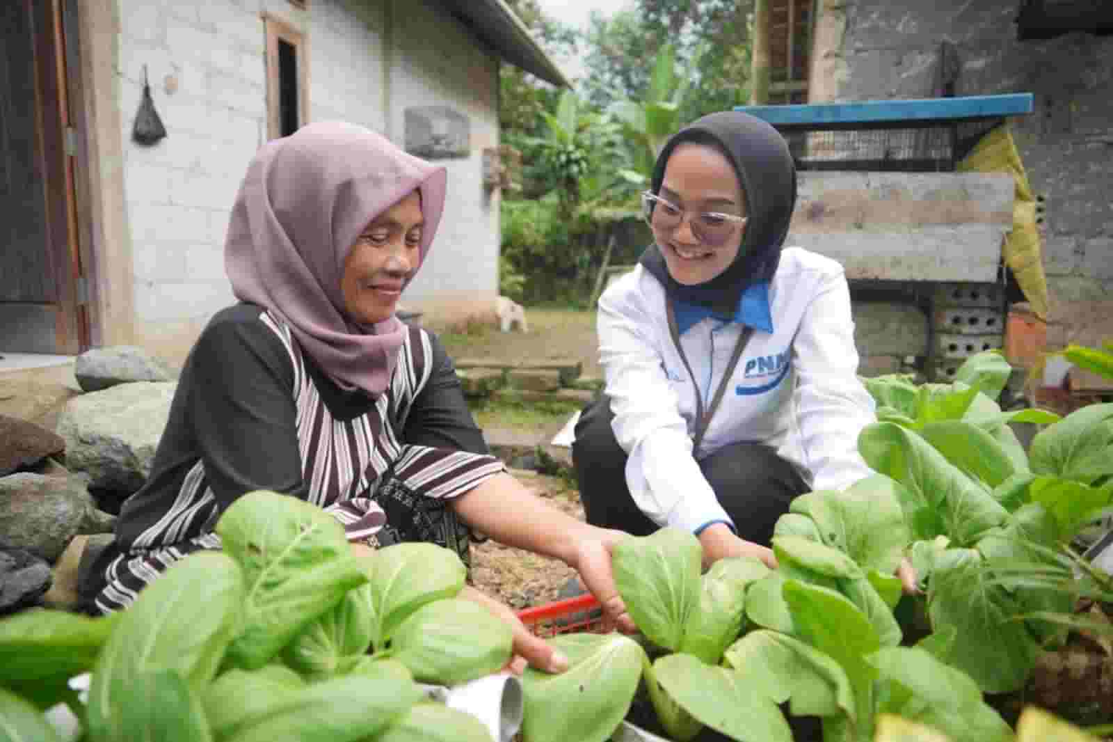 Salah satu kepedulian PNM kepada UKM binaannya untuk meningkatkan ketahanan pangan. (Foto: Dok PNM)