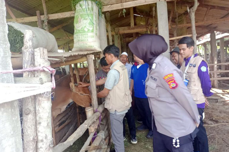 Personel Polres Lombok Tengah, Provinsi NTB bersama petugas Dinas Pertanian Kabupaten Lombok Tengah, NTB saat melakukan edukasi pencegahan PMK di Lombok Tengah, Minggu (09/02/2025). (Foto: ANTARA/HO-Humas Polres Lombok Tengah)