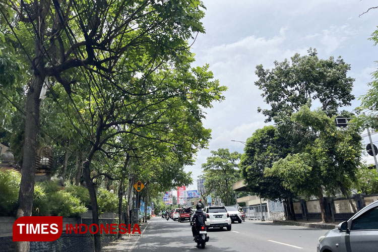 Kota Malang Dilanda Cuaca Ekstrem, Waspada Pohon Tumbang di 15 Titik Rawan Ini