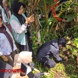 Kolaborasi KKN Unzah dan DPRD Kabupaten Probolinggo: Vetiver, Peluang di Daerah Rawan Longsor