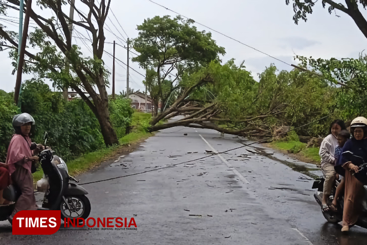 Angin-Kencang-di-Banyuwangi-B.jpg