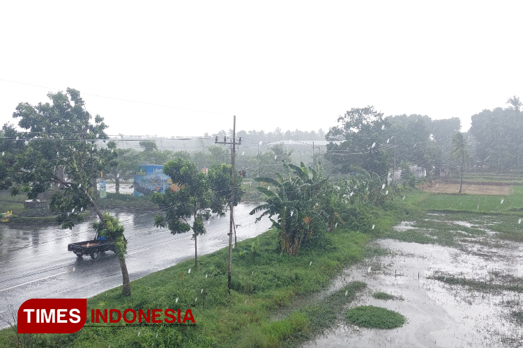 Ancaman Angin Kencang di Banyuwangi, Diprediksi Masih Akan Berlangsung 4 Hari