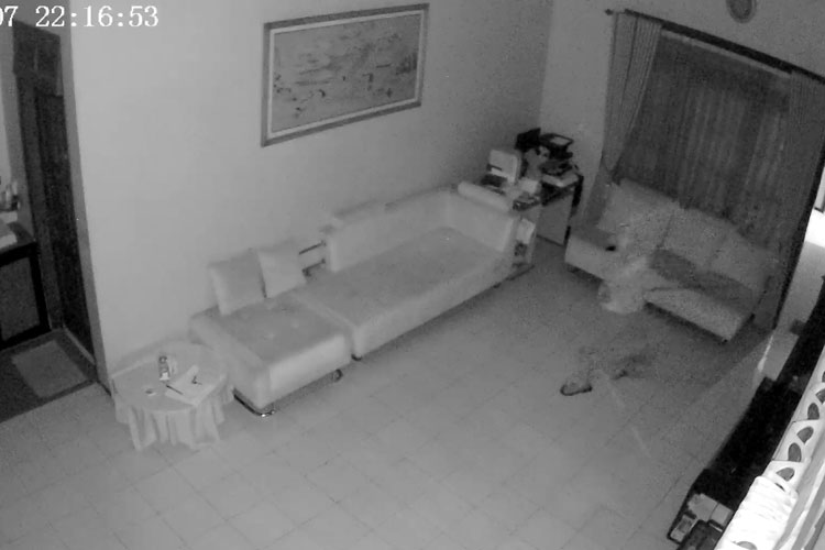 Rekaman cctv aksi maling bobol rumah kosong di Kota Malang. (Foto: Tangkapan Layar/TIMES Indonesia)