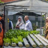 Tinjau Urban Farming di Surabaya, Zulhas: Kemandirian Pangan Segera Terwujud