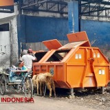 Sampah Sering Meluber ke Jalan, DLH Kabupaten Probolinggo Tutup TPS Semampir