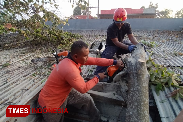 Angin Kencang Terjang Banyuwangi, Puluhan Rumah Rusak