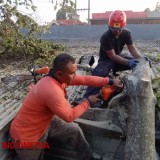 Angin Kencang Terjang Banyuwangi, Puluhan Rumah Rusak