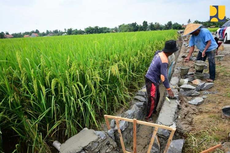 Jaga Irigasi Demi Swasembada Pangan, Menteri PU: Petugas OP Tetap Bekerja