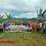 Terjang Medan Sulit, Polsek Kabat Banyuwangi Buktikan Komitmen Jaga Ketahanan Pangan Nasional