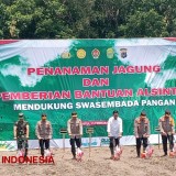 Kapolri dan Gubernur DIY Tanam 5 Hektare Jagung di Bantul untuk Ketahanan Pangan