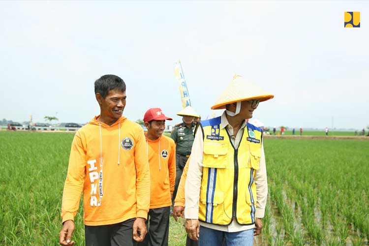 Menteri PU Dody Hanggodo saat meninjau penerapan inovasi Irigasi Padi Hemat Air (IPHA) di Desa Cikedung Lor, Indramayu, Minggu (16/2/2025) (FOTO: Biro Komunikasi Publik Kementerian PU)