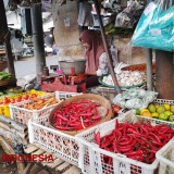 Naik Signifikan, Harga Cabai di Probolinggo Capai Rp50 Ribu per Kilogram