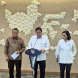 Pemerintah Terapkan Aturan DHE SDA, Airlangga Hartarto Ungkap Penerapan di Berbagai Negara