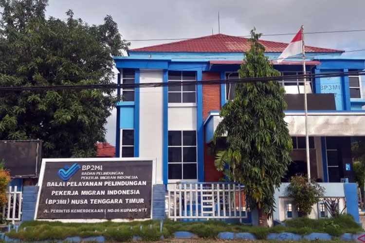 BP3MI: Sebanyak 125 PMI Asal NTT Meninggal pada 2024