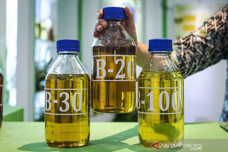 Tantangan Implementasi Biodiesel B40: Penyimpanan Hingga Transportasi