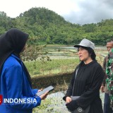 Irigasi Perpompaan untuk Swadaya Pangan di Pacitan Terkendala Jarak Jaringan Listrik