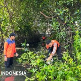 Ikhtiar Banyuwangi, Cegah Banjir Terjadi Kembali