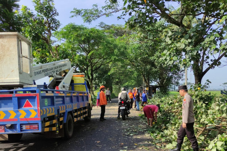 Pohon Tumbang di Jalan Mangunrejo Kepanjen Malang Lukai Pelajar SMK