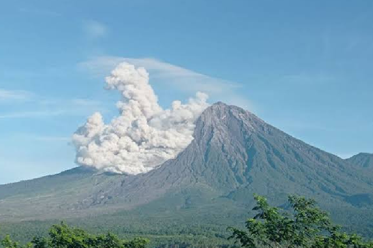 Gunung Semeru Alami Empat Kali Erupsi, Kolom Letusan Mencapai 900 Meter