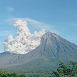 Gunung Semeru Alami Empat Kali Erupsi, Kolom Letusan Mencapai 900 Meter