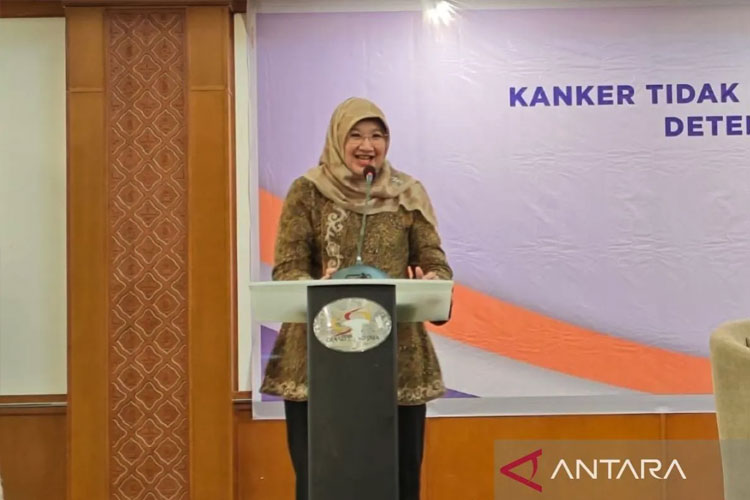 Direktur Pencegahan dan Pengendalian Penyakit Tidak Menular Kementerian Kesehatan, Siti Nadia Tarmizi. (FOTO: ANTARA/Farhan Arda Nugraha)