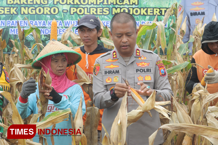 Panen Raya Polres Mojokerto untuk Ketahanan Pangan