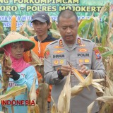 Panen Raya Polres Mojokerto untuk Ketahanan Pangan