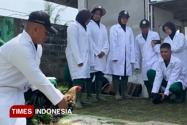 Tingkatkan Kompetensi, Mahasiswa Polbangtan Malang Praktik Budidaya Unggas