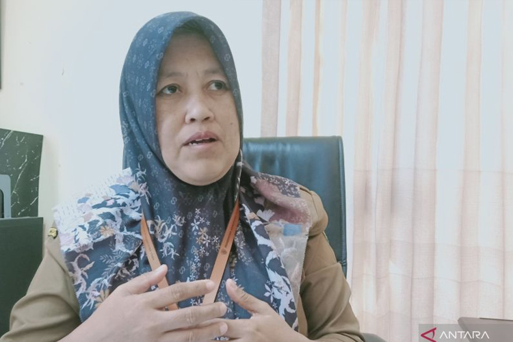 Kepala Dinas PMPTSP Kabupaten Penajam Paser Utara, Provinsi Kalimantan Timur Nurlaila. (Foto: Antara/Nyaman Bagus Purwaniawan)