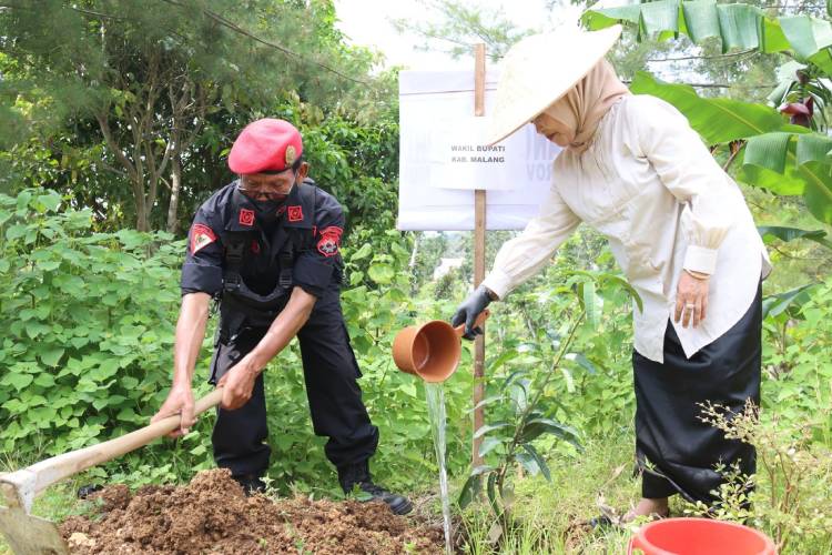 Wakil Bupati Malang, Hj Lathifah Shohib, menyiram bibit pohon yang baru ditanamnya saat acara penanaman pohon HUT ke 52 PDI Perjuangan, di kawasan Pantai Modangan, Donomulyo, Kabupaten Malang, Minggu (23/2/2025). (Foto: Prokopim Kab. Malang)