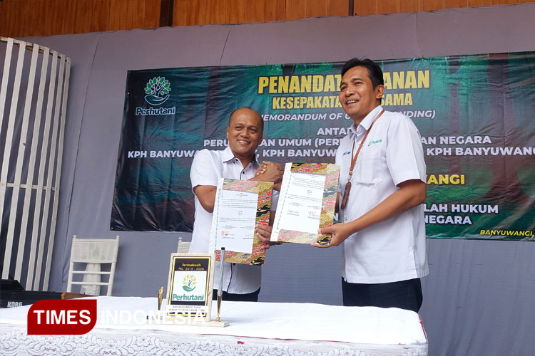 Administratur-Perhutani-Banyuwangi-Raya-3.jpg