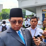 Ormas hingga Mantan Presiden Dilibatkan Jadi Penasihat Danantara