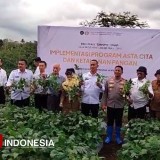 Lapas Malang Panen Raya Bareng Warga Binaan