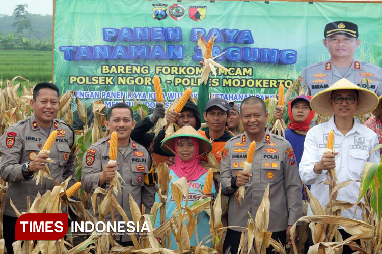 Bulog Mojokerto Bakal Serap Panen Petani sesuai Harga HPP Usai Sambat Harga Panen Anjlok