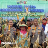 Bulog Mojokerto Bakal Serap Panen Petani sesuai Harga HPP Usai Sambat Harga Panen Anjlok