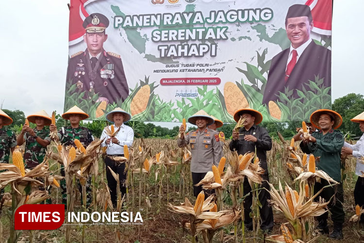 Polres Majalengka menggelar panen raya jagung. (FOTO: Hendri Firmansyah/TIMES Indonesia)