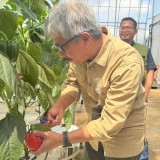 Kembangkan Smart Greenhouse dengan Teknologi Korea, Polbangtan Malang Gandeng PT DMC Indonesia Food