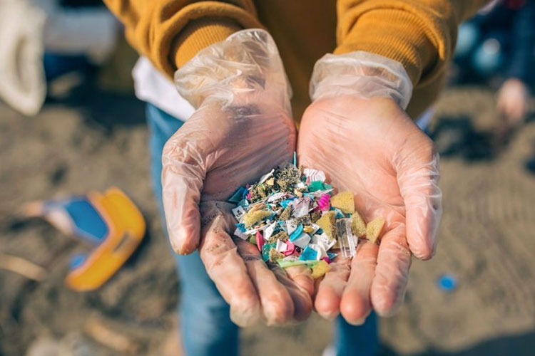 Mikroplastik di Laut Ancam Ekosistem dan Kesehatan Manusia