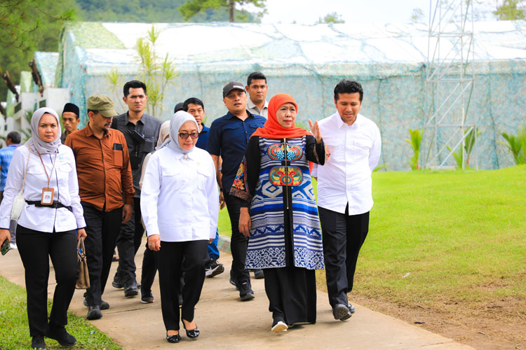 kepala-daerah-2.jpg