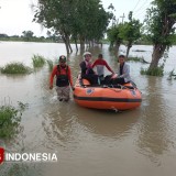 Banjir Luapan Kali Lamong dan Bengawan Solo Meluas di 7 Kecamatan Gresik