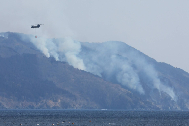 Asap mengepul dari punggung bukit di Kota Ofunato, Prefektur Iwate. Terlihat petugas pemadam kebakaran dengan menggunakan helikopter mencoba memadamkan api. (Foto: AFP/Japan Times)