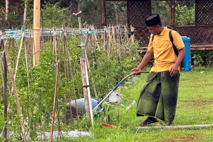 PHE WMO mengembangkan Program Eco-edufarming di Desa Bandangdaja, Kecamatan Tanjungbumi, Kabupaten Bangkalan. (Foto: Dok.PHE WMO)