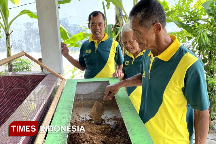 Kurangi Sampah Organik, Bank Sampah Sido Mulyo Sukses Budidaya Magot Tanpa Bau