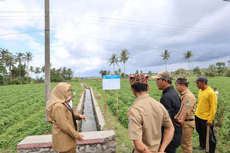 Bupati Banyuwangi Tetap Prioritaskan Infrastruktur di Tengah Efisiensi Anggaran