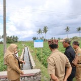 Bupati Banyuwangi Tetap Prioritaskan Infrastruktur di Tengah Efisiensi Anggaran