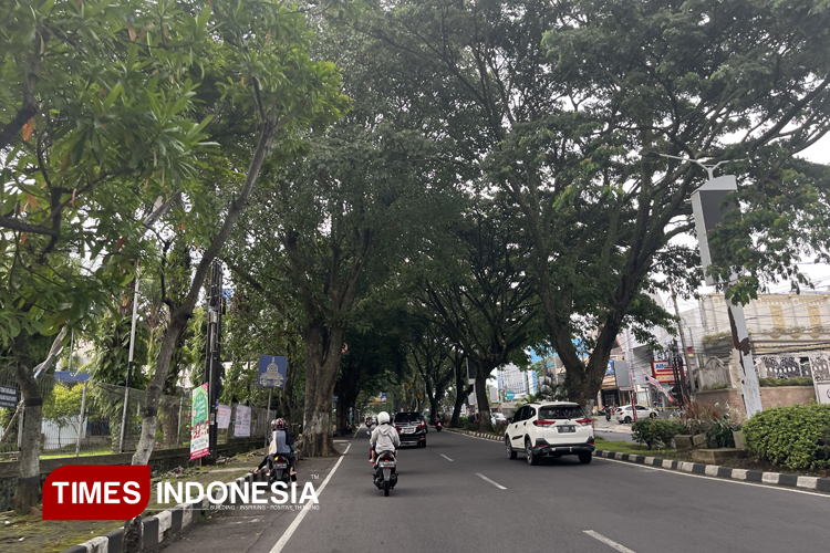 Walhi Jatim Kritik Penebangan Pohon di Malang, Sebut Kebijakan Drainase Keliru