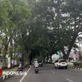 Walhi Jatim Kritik Penebangan Pohon di Malang, Sebut Kebijakan Drainase Keliru