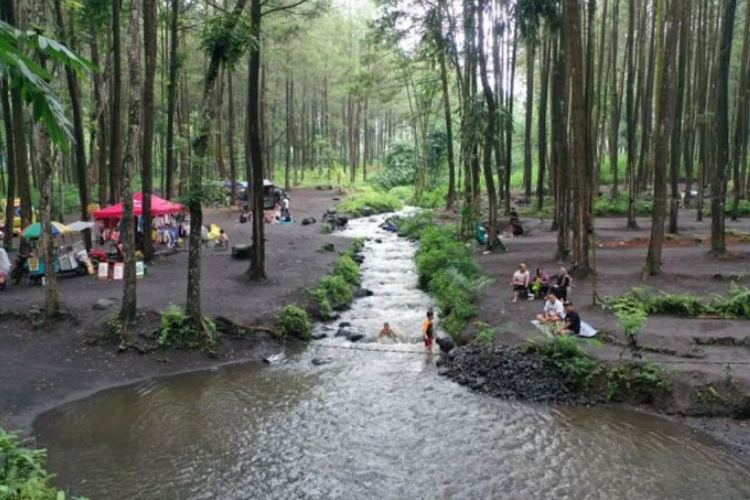 ILUSTRASI: Pelestarian hutan sebagai penyokong lingkungan digagas oleh Kemenag RI melalui Teologi Hijau (FOTO: Dok. TIMES Indonesia)
