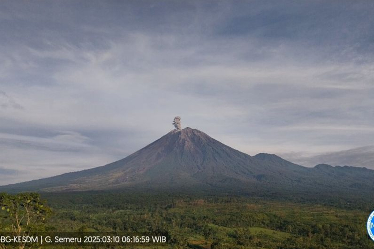 Gunung Semeru erupsi dengan letusan setinggi 900 meter di atas puncak pada Senin (10/3/2025) pukul 06.16 WIB. (FOTO: ANTARA/HO-PVMBG)