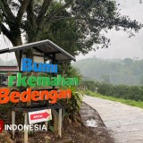 Yuk Healing ke Bumi Perkemahan Bedengan, Destinasi Camping Favorit di Malang